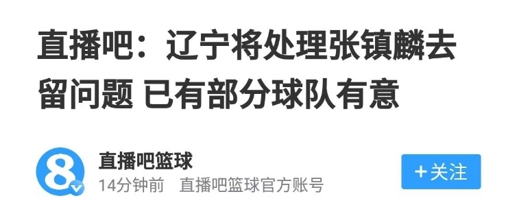 整体来看的, 而辽宁男篮, 的筹码的话