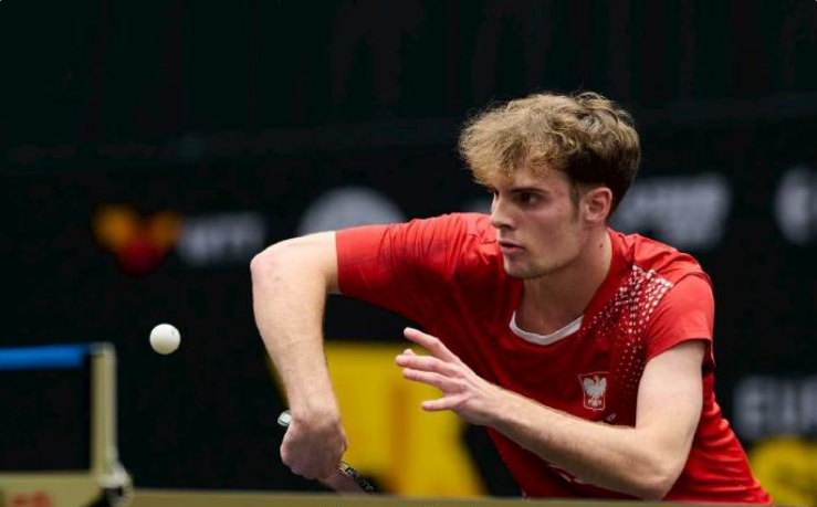 本智和强力, Auskl